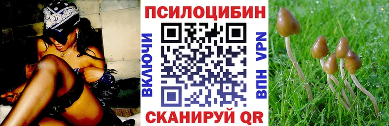 Галлюциногенные грибы Psilocybe гидра ссылки Мариинск
