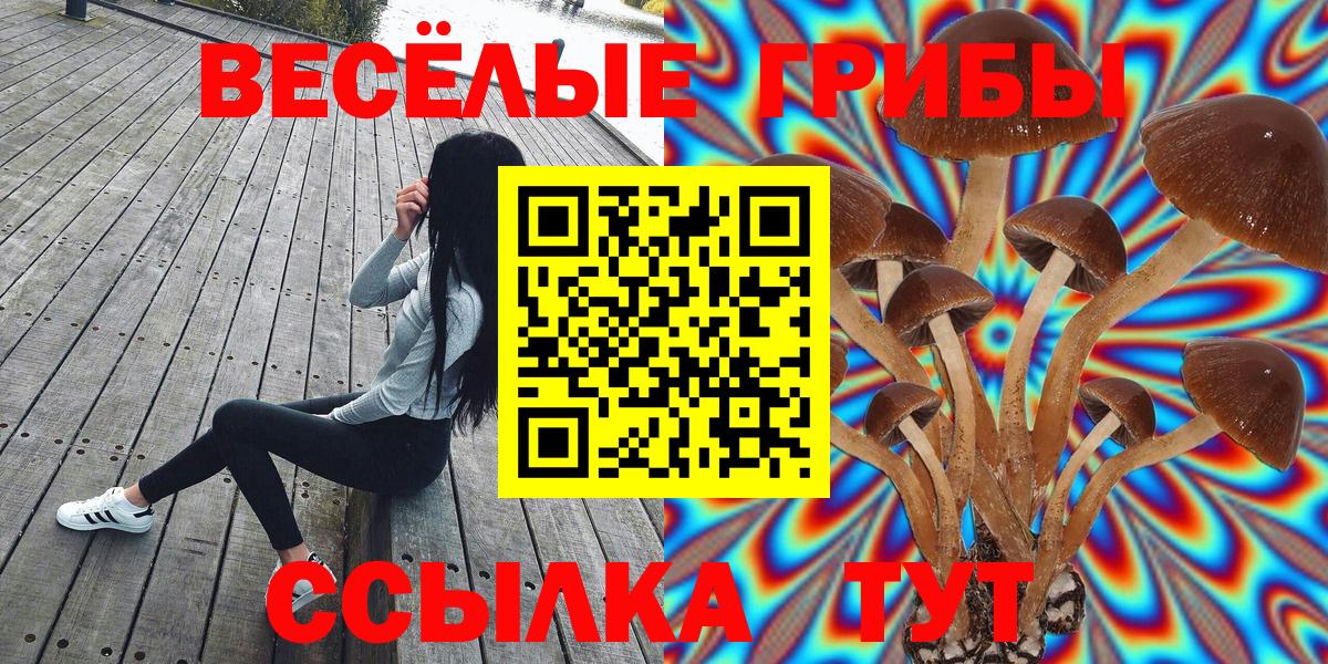 Псилоцибиновые грибы Psilocybe Мариинск