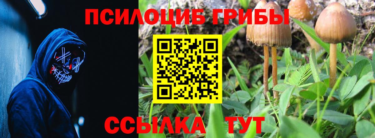 Мариинск  Псилоцибиновые грибы GOLDEN TEACHER  Вход с VPN  Псилоцибиновые грибы Psilocybine cubensis 